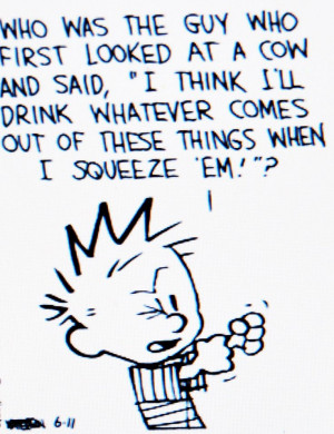 ... quotes bill watterson quotes calvin and hobbs quotes calvin quotes
