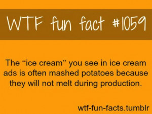 Interesting Fun Facts 28