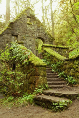 The Stone House - Forest Park Portland Oregon Fine Art Photo ...
