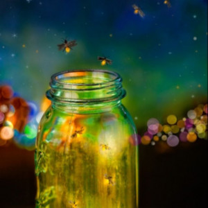 Lightning Bugs