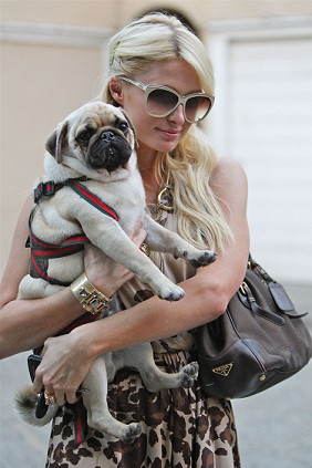 Paris Hilton, Hair Extensions, Lawsuit, oh my!