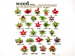 Außerdem ist das natürlich auch eine Hommage an “Mein Block” von ...