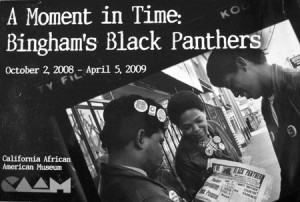 Black Panther Party Quotes