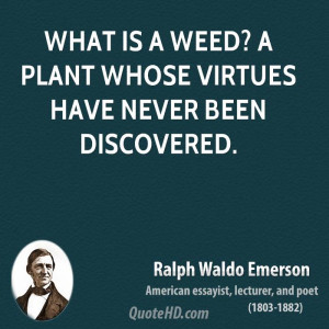 What is a weed? A plant whose virtues have never been discovered.