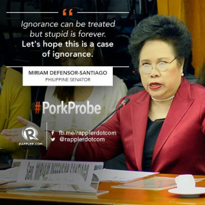 Quotes on Senate Hearing on the 'Pork Barrel' Scam (Nov. 7, 2013)