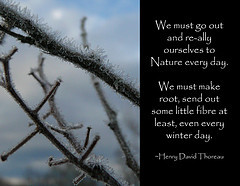 of Quotations (December) (Eurobum99) Tags: winter inspiration cold ...
