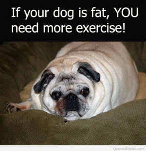dog-quotes-about-fat-dog-and-exercise