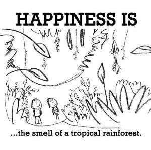 Related Pictures rain forest coloring page