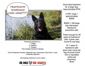 Heartworm Disease in Dogs: a Festival of Links