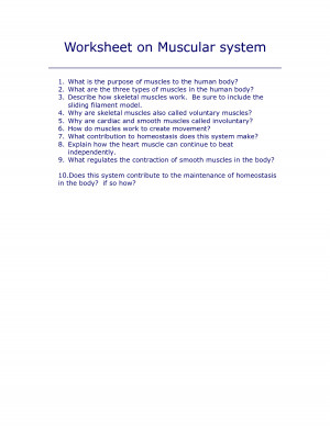 Muscle Skeletal System Worksheets