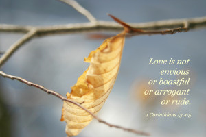 Love is not envious or boastful or arrogant or rude. -- 1Corinthians ...