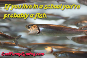 Displaying 18 Gallery Images For Tuna The Dog With Braces/feed/rss2