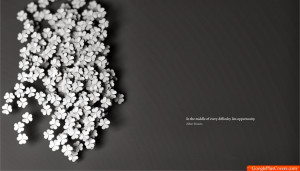 Albert Einstein Quote - Google Plus Cover