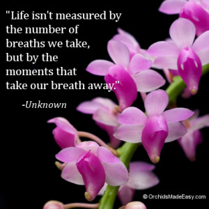 Do you agree? When was the last time your breath was taken away?