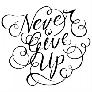 Never Give Up vinyl lettering home wall decal decor art quote