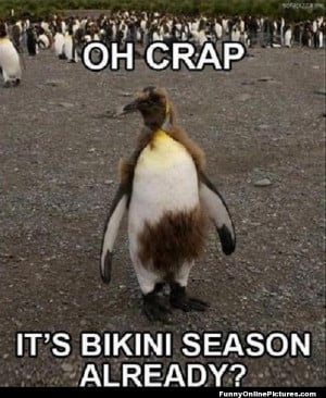 Funny animal meme picture of a penguin for forgot about bikini season!