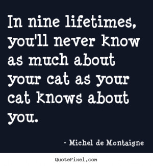 In nine lifetimes, you'll never know as much about your cat as your ...