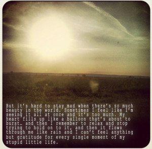 American Beauty Movie Quotes American beauty movie quote