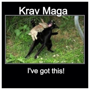 Krav Maga
