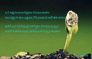 Telugu Quotes-Galaxy