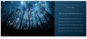 Night Sky - excerpt from the book Letters From Earth By Sunni Chapman