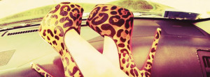 Click to view tiger high heels facebook cover photo