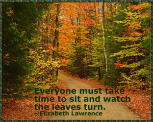Season Fall Quotes This wonderful season.