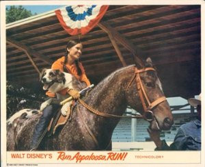 im film run appaloosa run 1966 zusammen und sahen sich auf ...