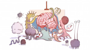Gut Bacteria Might Guide The Workings Of Our Minds : Shots - Health ...