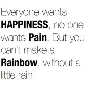 ... But You Can’t Make A Rainbow, Without A Little Rain ~ Clever Quote