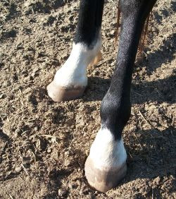 the great gatsby quotes about com classic literature quotes questions ...