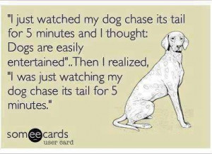 Funny ecard – I just watched my dog chase his tail