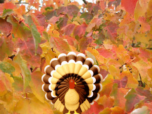 Download Thanksgiving Day wallpaper, 'thanksgiving turkey'.