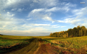 Countryside road wallpaper 1680x1050