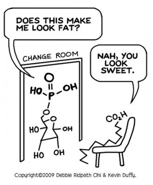 Funny Chemistry photo