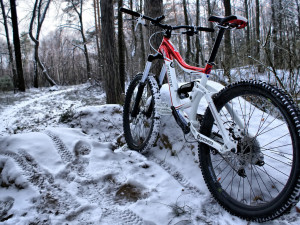 Bicycle, forest, bike, winter, snow, other