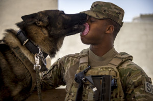 SALUTE THE TROOPS: MILITARY WORKING DOGS ARE HEROES, TOO!