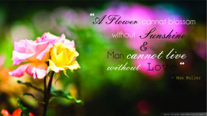 Flower Quotes Page 45