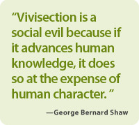 Quotes Against Animal Testing