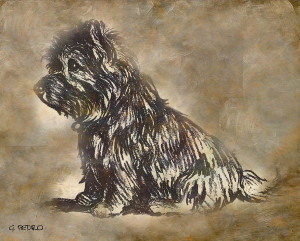 Scotty Dog Painting - Scotty Dog Fine Art Print