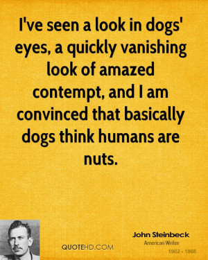 ve seen a look in dogs' eyes, a quickly vanishing look of amazed ...