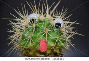 Funny Cactus Stock Photos, Illustrations, and Vector Art