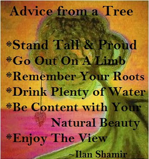 Advice From A Tree Quote