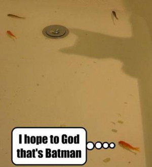 Funny photos funny fish cat Batman shadow