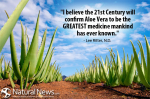 believe the 21st Century will confirm aloe vera to be the GREATEST ...