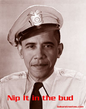 Barney Fife Knows More About The Preamble To The Constitution Than ...