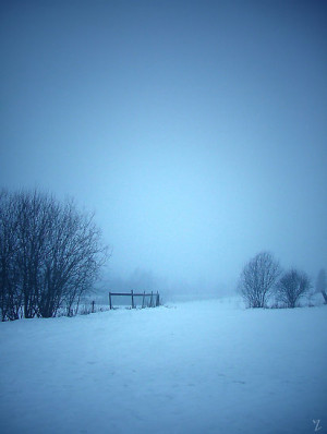blue, cold, fog, mist, morning, norway, snow, trees, winter