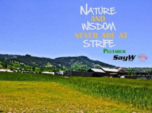 Nature and wisdom never are at strife. - Plutarch