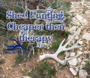 Shed Hunting. Cheaper then therapy #huntingquotes #quotes #shedhunting ...