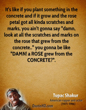... rose that grew from the concrete..
